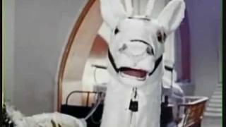 happy xmas war is over / the bell peppers