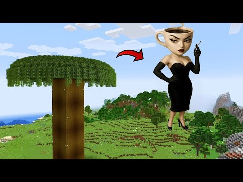 i Found Scariest TUNG TUNG SAHUR 😱 in Minecraft | Tung Tung Sahur |
