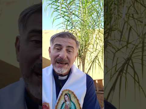 Evangelio del Nuestro Señor Jesucristo Con el Padre Fabian Esteban Oliva. Segunda parte 02/04/26