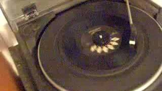 The Dictators: I am right 7&#39;&#39; A (1996)