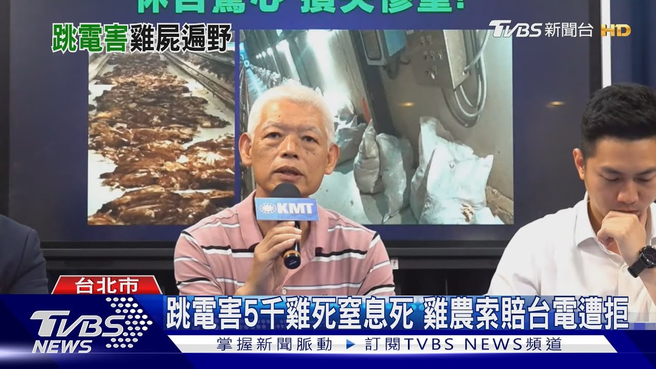 跳電害5千雞死窒息死　雞農索賠台電遭拒