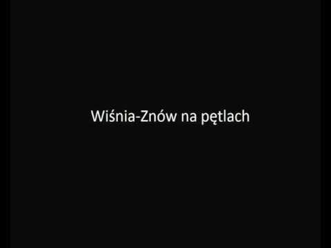Wiśnia Znów na pętlach