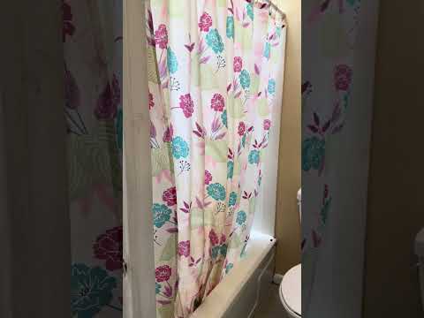2203 N Charles Street - Video 2 of 2