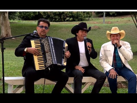 CREONE, PARRERITO E XONADÃO  - TRIO PARADA DURA  " SELEÇÃO DE MUSICAS " PROGRAMA TERRA DA PADROEIRA