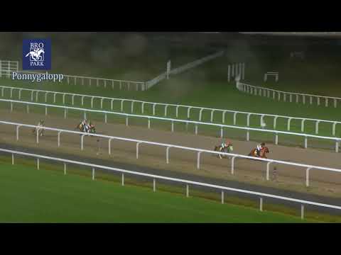 Lopp 4 1 Novmber 2020