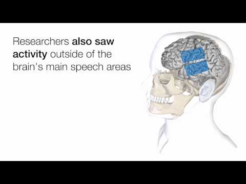 Interpretation: Decoding Meaning in a Noisy World | Vibepedia