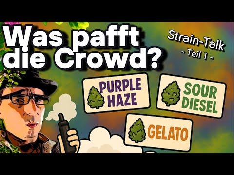 Which strains are the crowd puffing? Strain Talk | Part 1