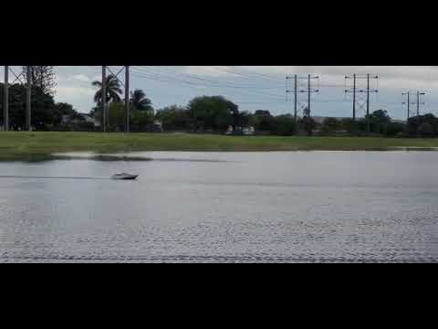 Dragon hobby 52" sport cruiser