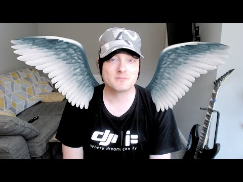 RIP DJI FPV Already?!