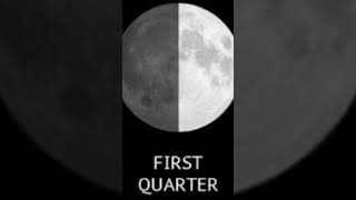 Phases of the MOON. #shorts