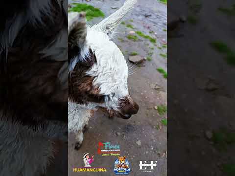 Por las rutas de Ayacucho 😍