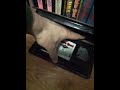 My Disney Black Diamond Classics Vhs Collection 1984 1987 Part 1