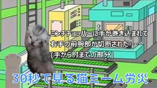 ３0秒で見るネコミーム労災①ミンチチョッパー