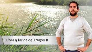 FLORA Y FAUNA COMUNIDAD AUTÓNOMA DE ARAGÓN II FLORA Y FAUNA COMUNIDAD AUTÓNOMA DE ARAGÓN II