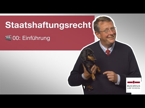 Introduction to the video series | 🎬 00 | State Liability Law