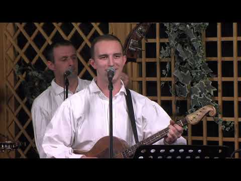 Žitna Polja - Zbogom noći