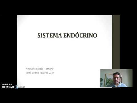 Sistema endócrino parte 01