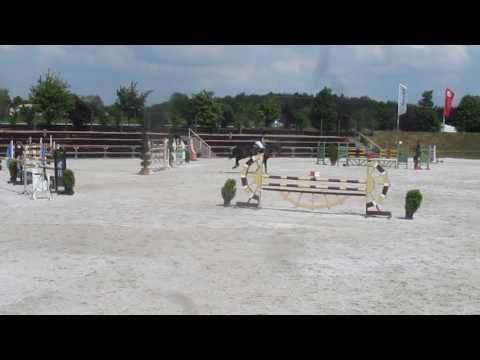 Bildschöner vermögender und erfolgreicher Rappwallach  ****FOR SALE****