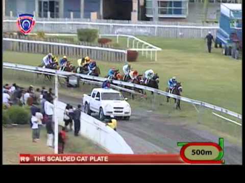 Season 2012 - Meeting 27 - Race 9 - Prince Alwahtan - G. Faucon - iDates.mu - Turf Mauritius