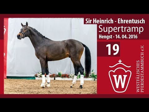 19 Super Tramp Hengst v. Sir Heinrich - Ehrentusch
