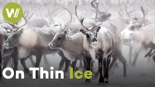 Russia's Melting Arctic: Reindeer Migration and Ancient Viruses Awakened by Thawing Permafrost