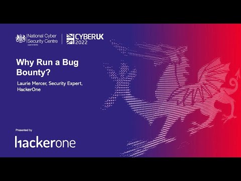 Why Run a Bug Bounty?