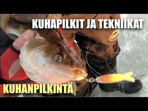 Miten kuhaa pilkitään - Kuhan pilkintä - Tekniikat - Jigipilkki - Pilkkiminen