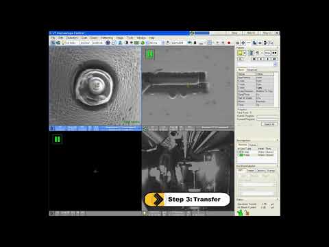 Atom Probe Sample Preparation - Step03_part1