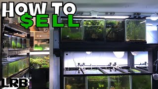 How to Sell Aquarium Fish, Shrimp, and Plants