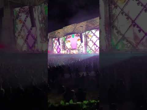 Mista Kitty 🤘 #lostlands #lostlandsfestival #kitty #excision #music