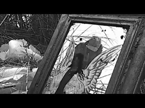 $uicide Boy$ - Antarctica (deadmau5 sample)