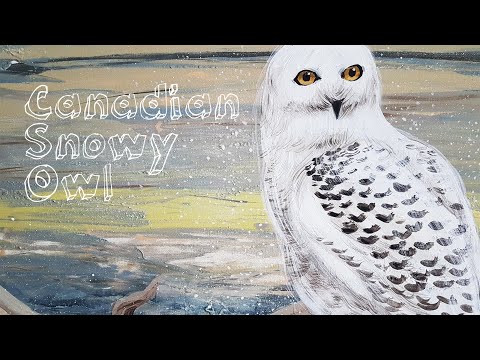 HOW TO PAINT CANADIAN SNOWY WHITE OWL - Art Class Video - 4k
