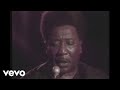 Muddy Waters - Got My Mojo Working (Live)