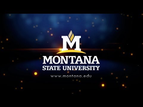 Montana State University - video