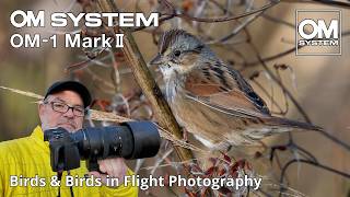 OM-1 Mark II Birds & Birds in Flight with 150-600mm Lens! Hiwassee Wildlife Refuge
