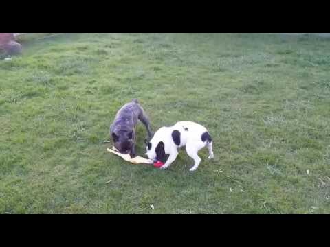 2016 04 22 VIDEO 00000474