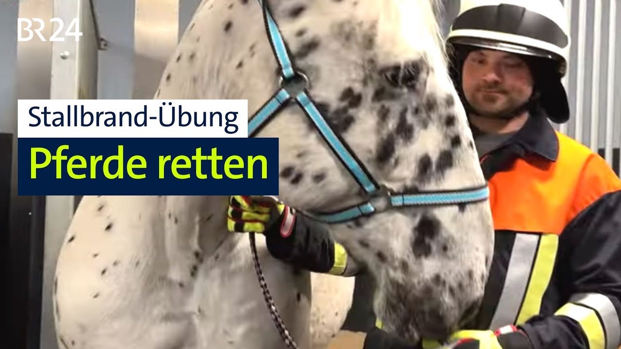 Feuerwehr übt Pferde-Rettung bei Stallbrand | Abendschau | BR24