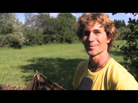 Openair Frauenfeld 2010 Pilgerreise