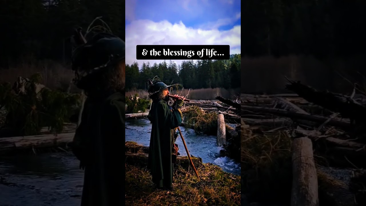 Promotional video thumbnail 3 for Aaron the Green, Elven Wizard