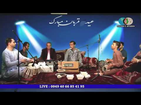 Wali parwani ولی پروانی آهنگ قیطغنی ولی