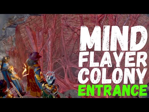 Baldur's Gate 3 Mind Flayer Colony Entrance Location | How to get into the mind flayer colony in BG3