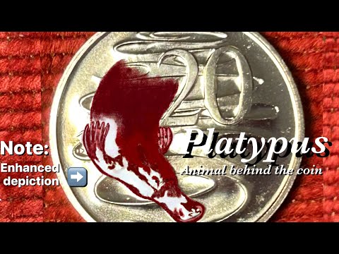 Australian 20c coin platypus reverse