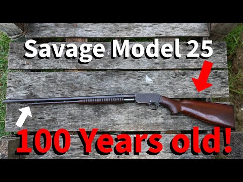 Plinking with a 22lr from the 1920s! (Savage Model 25)