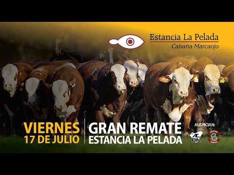 GRAN REMATE ESTANCIA LA PELADA