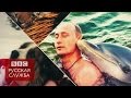 Почему Путин так популярен в России - BBC Russian 