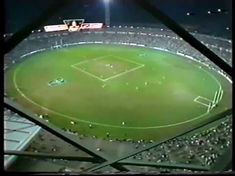 1983 Stirling Cup Grand Final Carlton V Richmond