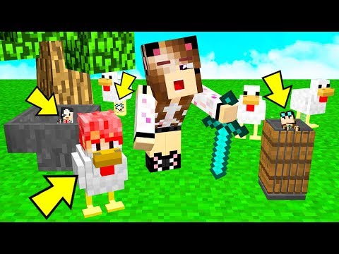 NASCONDINO IN MEZZO AI POLLI DI MINECRAFT DA PICCOLISSIMI!