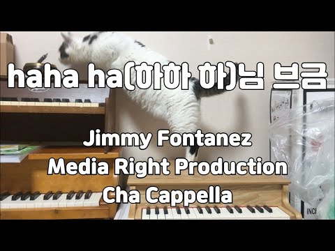 하하 하(haha ha)님 브금 토이 피아노 cover(Cha Cappella Toy Piano cover)