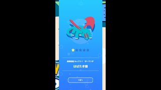 【ポケモンスリープ】　ボーマンダ　はばたき寝　【pokemonnsleep】
