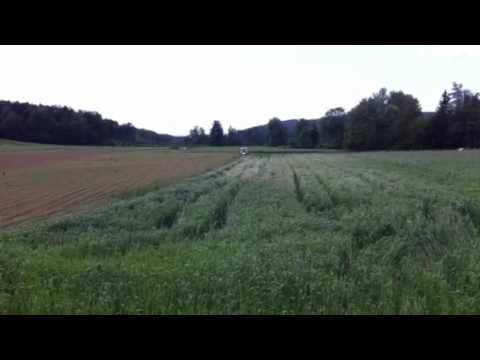 Helgas Getreidehähnchen